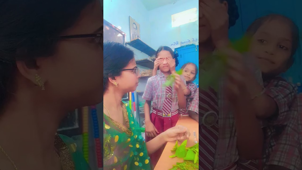 Identification of leaves by smell ❇️✳️