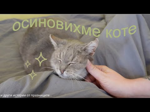 “Бонус Пін Ап KZ: Ауызы рынсақтағы кездестіктеме!