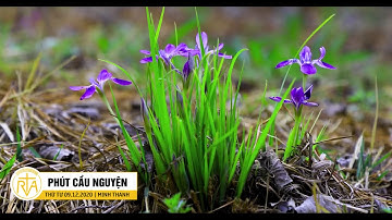 Phút Cầu Nguyện, Thứ Tư 09/12/2020: Cùng Mẹ Xây Dựng Cộng Đoàn An Hòa