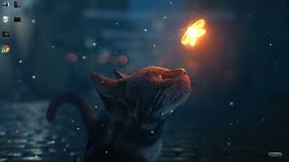 Cat looking at glowing Butterfly