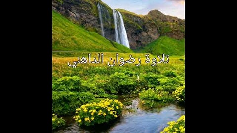 تلاوه بصوت القارئ رضوان الداهني