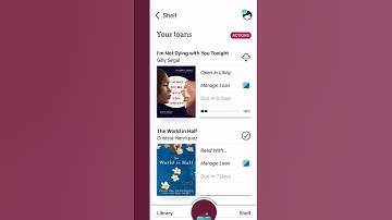 Re-downloading a loan