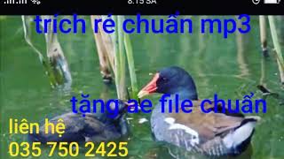 Tiếng trích ré hủy diệt âm thanh mới nhất