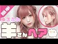 【簡単】ゆるふわ羊さんヘア【講座】