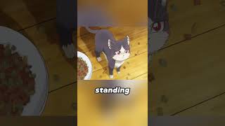 My roommate is a cat #animatry #animeshorts My roommate is a cat #animatry #animeshorts