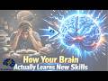 How Your Breain Actually Learns New Skills