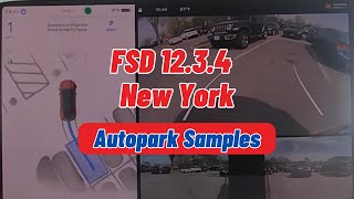 Tesla FSD v12.3.4: Autopark Samples