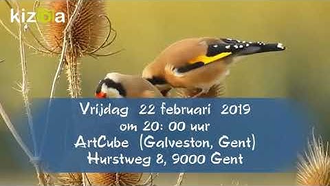 Kizoa Movie - Video - Slideshow Maker: Natuur ontmoet Cultuur tvv 