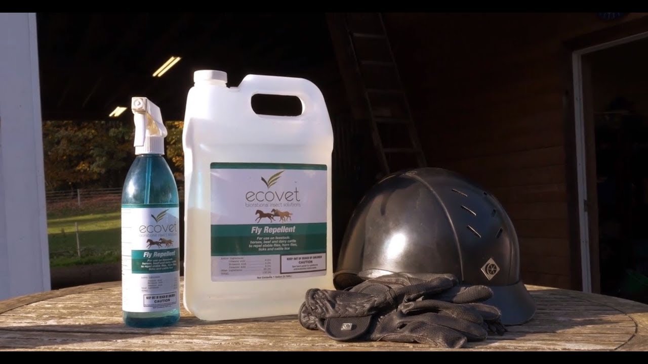 EcoVet Fly Spray Explained YouTube