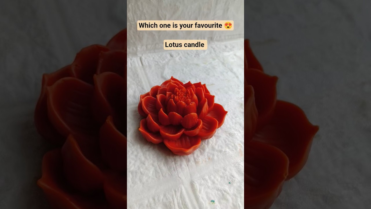 candle lover special collection 