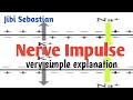 Nerve impulse | action potential | physiology of nerve impulse | saltatory and simple prpagation