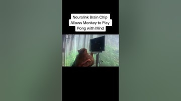 Neuralink Brain Chip Allows Monkey to Play Pong with Mind