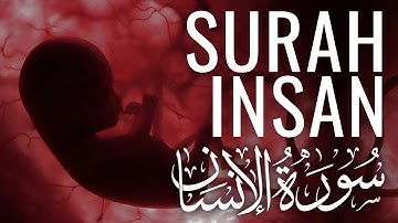 Surah Al-Insan - Zaid Omran | سورة الإنسان - زيد عمران