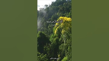 ومن آياته أنك ترى الأرض خاشعة فإذا انزلنا عليها الماء اهتزت وربت #عبد_الباسط_عبد_الصمد #قرآن #حالات