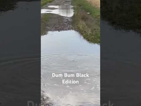 ⚠️Dum Bum Black