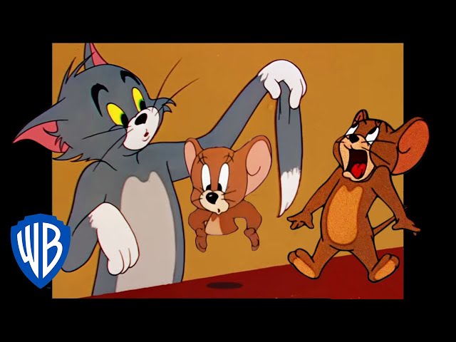 Tom and jerry cartoon, Tom and jerry, Cartoon