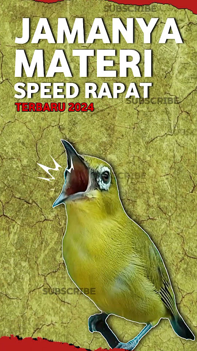 MASTERAN PLECI SPEED RAPAT MATERI DAHSYAT #masteranpleci #masteranjuara #shortsfeed
