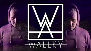WALLKY - NIGHT TIME (Original Mix)