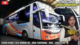 BUS ROSALIA INDAH HDD 507 Executive Plus,Jetbus5 Voyager,Kata Kata Driver Tampan,Bogor-Wonosobo