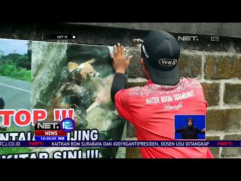 Penyiksaan Anjing Yang Viral -NET12