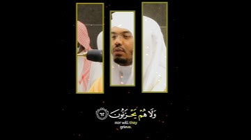 "ألا إن أولياء الله لا خوفٌ عليهم"تلاوة جميلة جدًا للشيخ د.ياسر الدوسري {ابداع غريد الحرم}