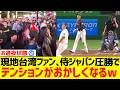 台湾の反応 現地台湾ファン 大谷侍ジャパン圧勝ででテンションがおかしくなるwwwwww