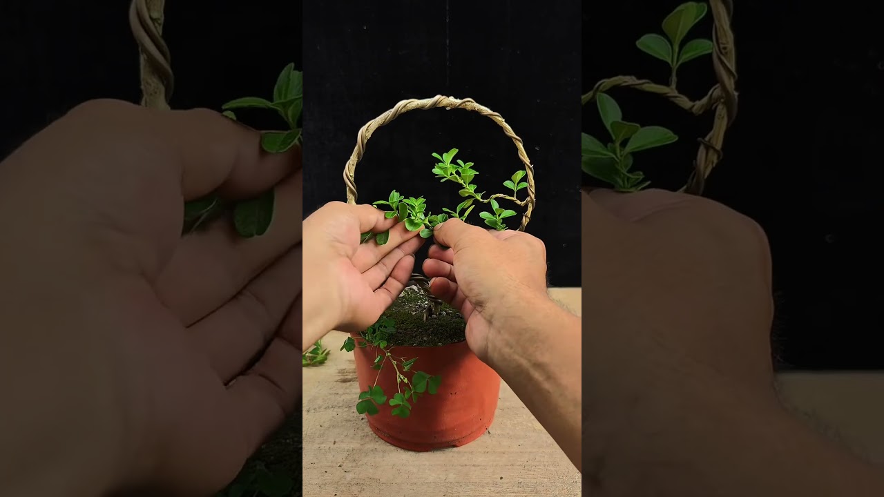 手作り 黄楊木 ツゲの木彫り 家の装飾 飾り物 ポプラの葉平安である香炉y 手作り 黄楊木 ツゲの木彫り 家の装飾 飾り物 ポプラの葉平安である