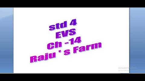 Std 4 EVS chapter 14 Raju