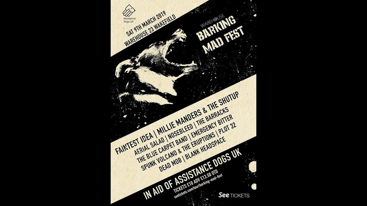 BARKING MAD FESTIVAL - (2/2) - Live Punk & Ska - 2X HD Cam - MPRV News