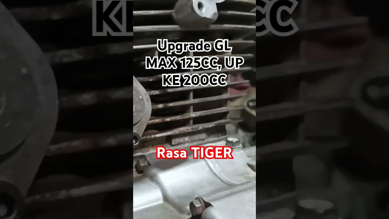 UPGRADE GL MAX 125CC UP KE 200CC, RASA TIGER