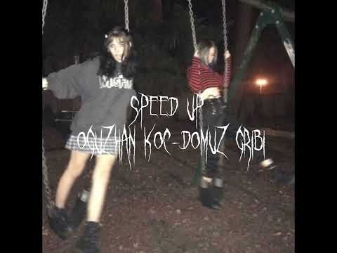 Oğuzhan Koç -Domuz gribi (Speed up)