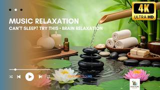 Pure Relaxation 🌿 Healing Spa Music for Stress-Free Living - no ads
