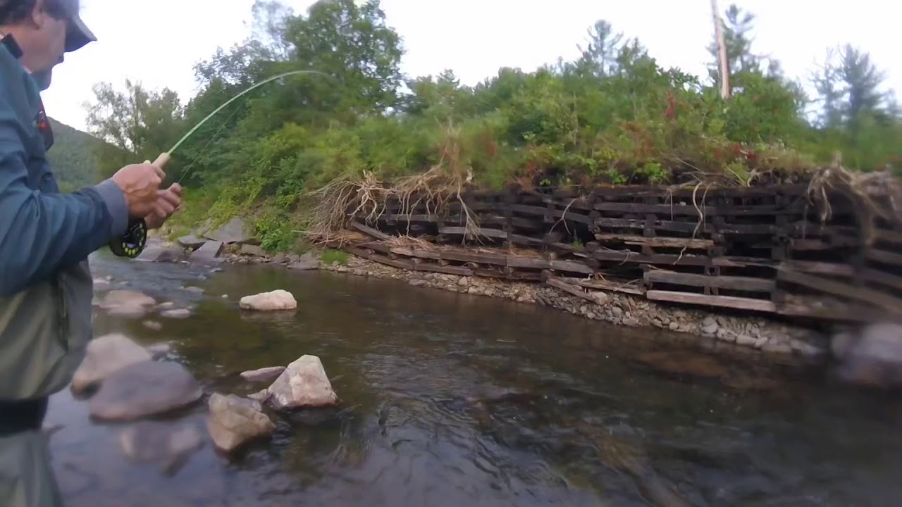 Fly Fishing the Esopus Creek August 32, 2019 YouTube