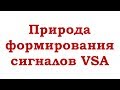 Природа формирования сигналов VSA. Какова смысловая нагрузка этой фразы.