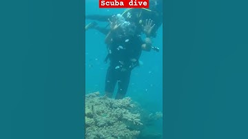 viral Scuba dive #video #shortmusic Dive
