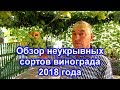 Обзор неукрывных сортов винограда 2018 года.