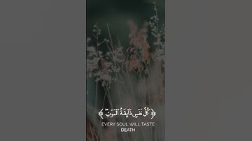 #quran #اكسبلور #المصحف #الرحمن #القارئ عبدالرحمن مسعد#الرحمن