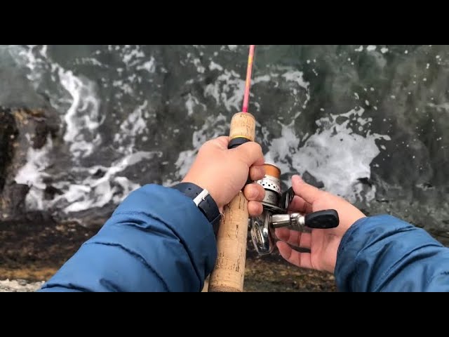 穴釣り 鱒レンジャーでブラクリして 釣れた魚を熟成させて食べてみます Youtube