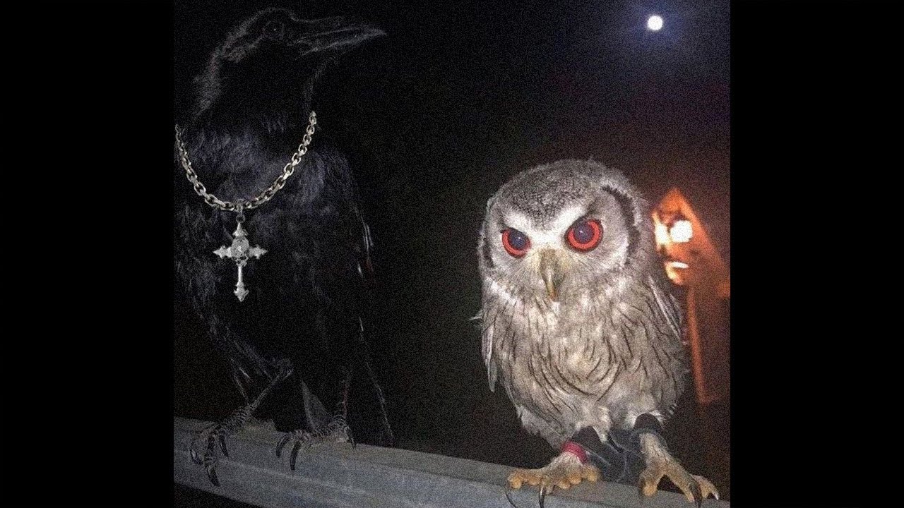 (free for profit) lucki type beat ''Chrome Hearts''