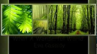 What A Wonderful World - Eva Cassidy