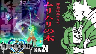 最弱の俺でも君を救えたら：２４【キングダムハーツHD1.5+2.5リミックス】