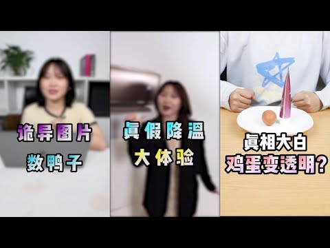 【在下周星星】真假降溫大體驗！詭異圖片 數鴨子！今天我們來拆史萊姆福袋！太爽了！！你不知道的手機里的秘密