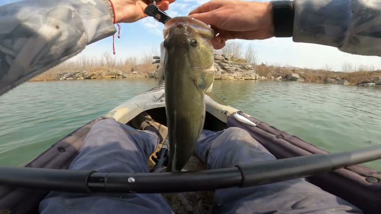 Sunday,March,1,2026 SmyrnaBassClub! Bass beat down! Part 2. #fishing #tiktokfishing #bassfishing