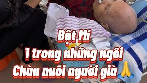 Bật mí 1 trong những ngôi Chùa nuôi người già ở Tp.HCM❤️#tuthien#chua#lamquang#quan8#phanuyquyen