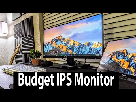 Best Budget IPS Monitor! 2020 ASUS VA24EHE
