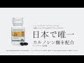 【コーキューテン】食事だけでは摂りにくいコエンザイムQ10が手軽に補給できるおすすめサプリメント - ニュートリライト™