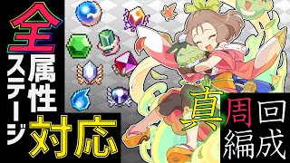 【ワーフリ 】揺らぎの迷宮全ステ対応！★5なし・限定キャラなし‼真・周回編成【ワールドフリッパー WORLD FLIPPER 】