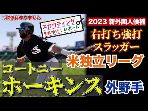 【阪神タイガース】新外国人 調査レポート2023 阪神はよ外人バッター獲ってぇやぁ コートニー・ホーキンス選手