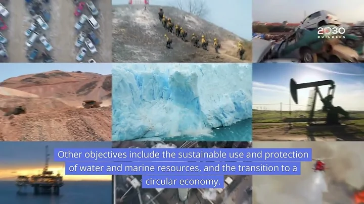 EU Taxonomy Regulation And Its Implications For Companies