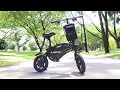 DYU Electric Scooter - DYU Deluxe